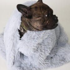 Pet Dog Cat Blankets